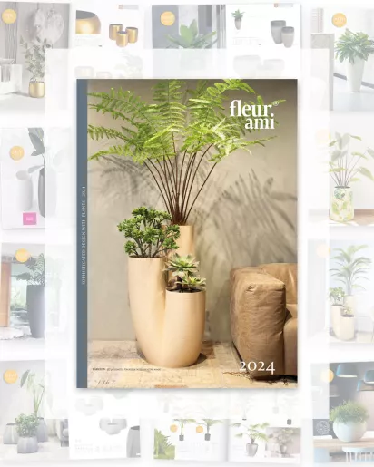 fleur ami  Ordina online vasi per piante e decorazioni esclusive