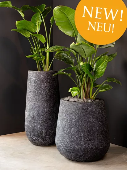 fleur ami  Ordina online vasi per piante e decorazioni esclusive