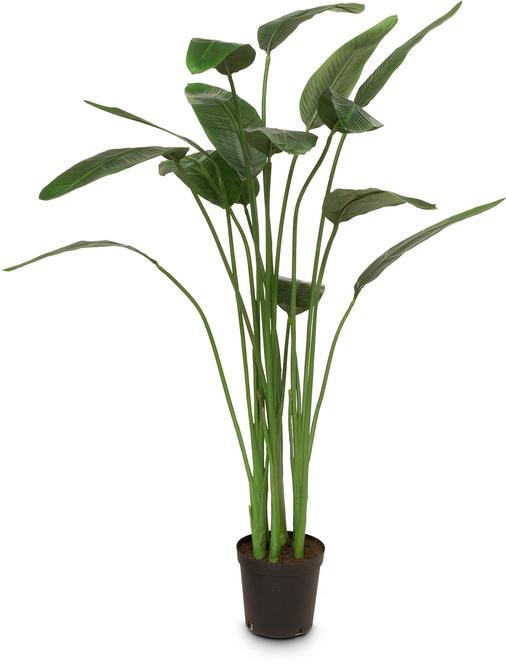 fleur ami | Strelitzie Kunstpflanze 167 cm | Hochwertig & Exklusiv