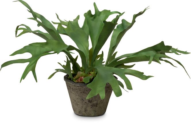 fleur ami | Geweihfarn - Platycerium Kunstpflanze 55 cm, getopft |  Hochwertig & Exklusiv