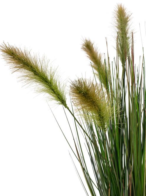 fleur ami | Fuchsschwanzgras Kunstpflanze, Höhe 60 cm, getopft | Hochwertig  & Exklusiv
