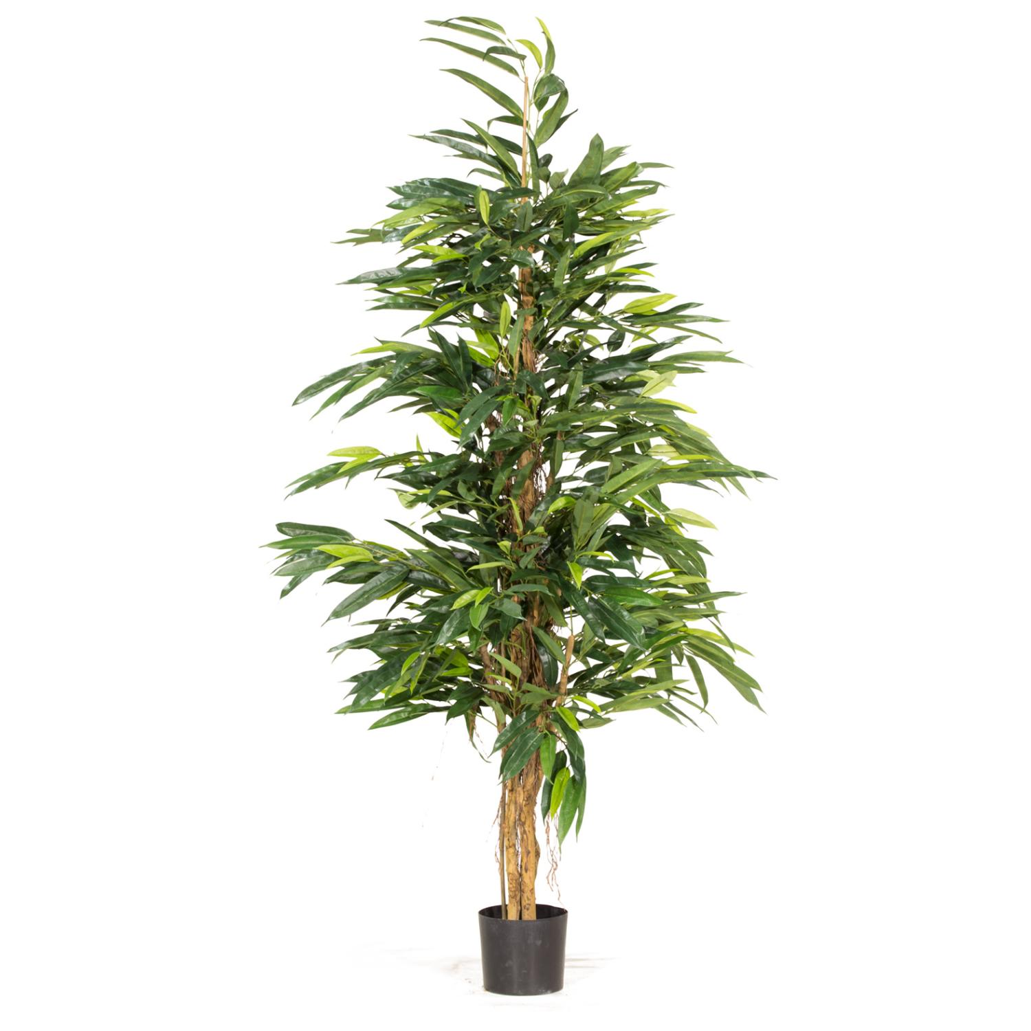 Longifolia Royal Natural Kunstpflanze, 180 cm L: 50 B: 50 H: 180 | grün-braun