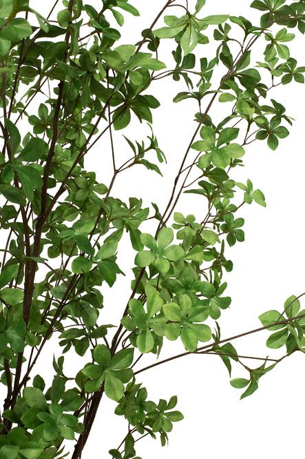 fleur ami | Do Dan Tree Kunstpflanze 175 cm | Hochwertig & Exklusiv