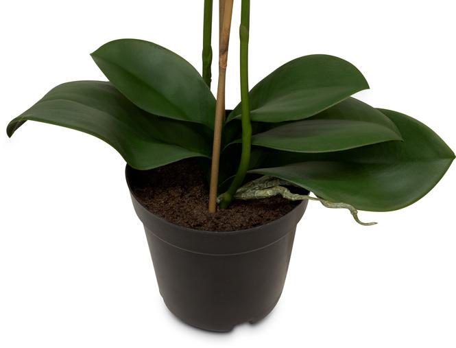 Phalaenopsis w/LVS Kunstpflanze 71 cm 