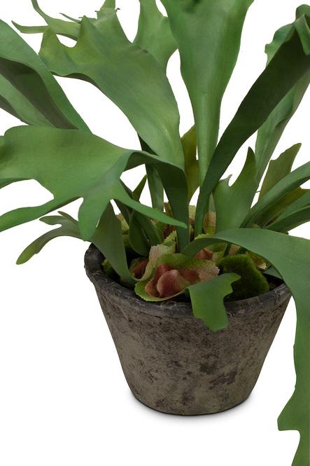 fleur & ami - Platycerium | cm, getopft 55 Geweihfarn Hochwertig | Kunstpflanze Exklusiv