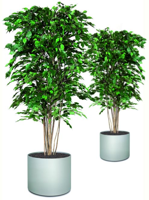 Starline planter, 75/48 cm, white-aluminum