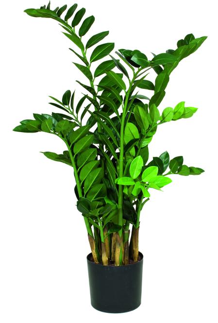 Zamioculcas Kunstpflanze, 65 cm L: 60 B: 60 H: 65 | grün