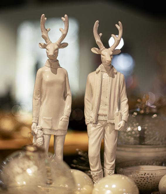 Mr.Stag &amp; Ms. Stag White