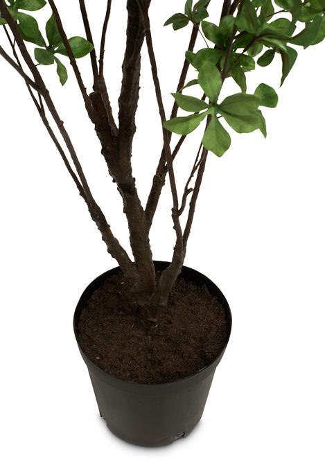 Hochwertig 175 Do ami Tree & Dan Exklusiv | fleur cm | Kunstpflanze