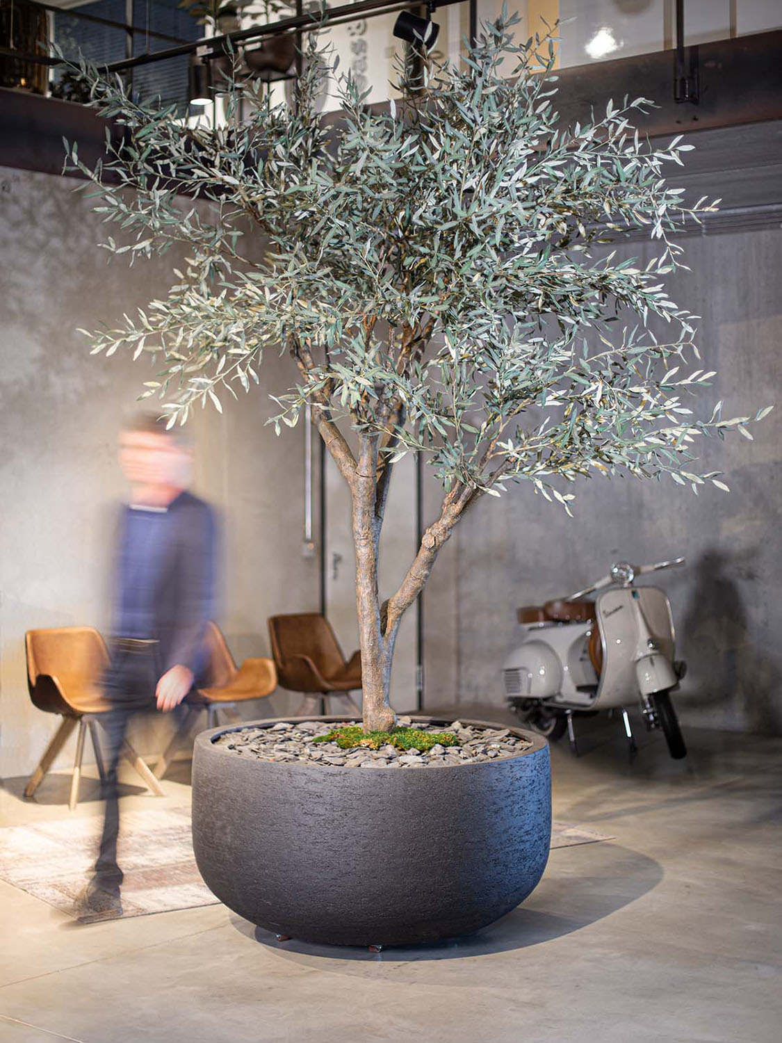 fleur ami, Olive tree - Olea europaea artificial plant 245 cm