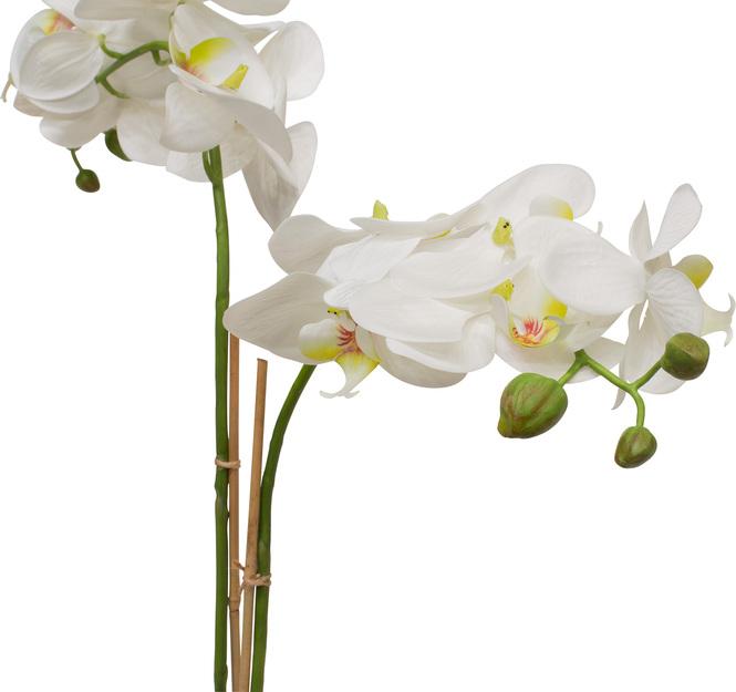 Phalaenopsis w/LVS Kunstpflanze 71 cm 