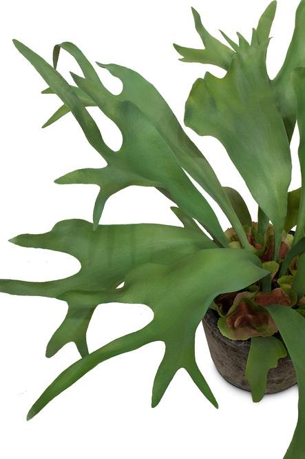 fleur ami | Geweihfarn - Platycerium Kunstpflanze 55 cm, getopft |  Hochwertig & Exklusiv