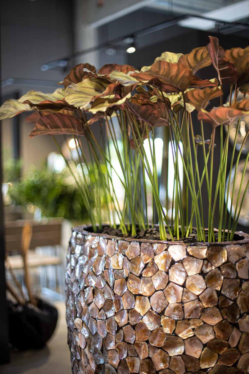 fleur ami | Calathea - Korbmarante Kunstpflanze, 90 cm | Hochwertig &  Exklusiv
