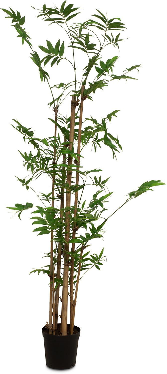 Bambus - sztuczna roślina bambusowa 152 cm, doniczkowa 