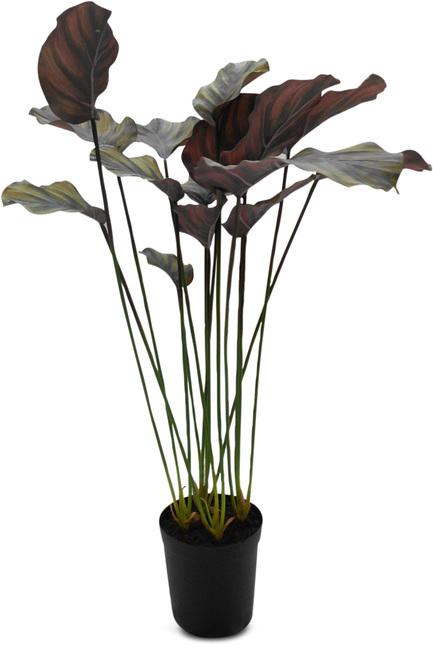 fleur ami Korbmarante Calathea - Hochwertig | Kunstpflanze, & Exklusiv | 90 cm