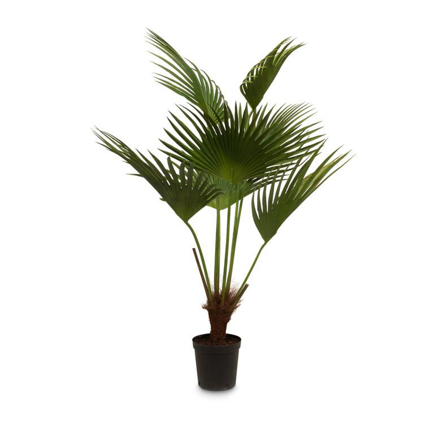 Искусственное растение веерная пальма 140 см 