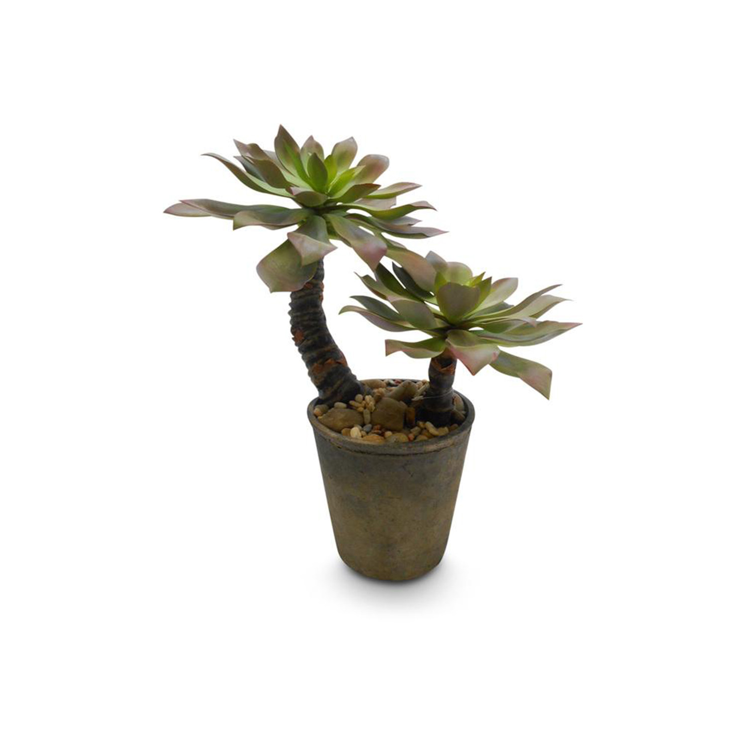 ami | | Kunstpflanze, auf fleur Stamm Sukkulente cm & 55 Hochwertig Exklusiv